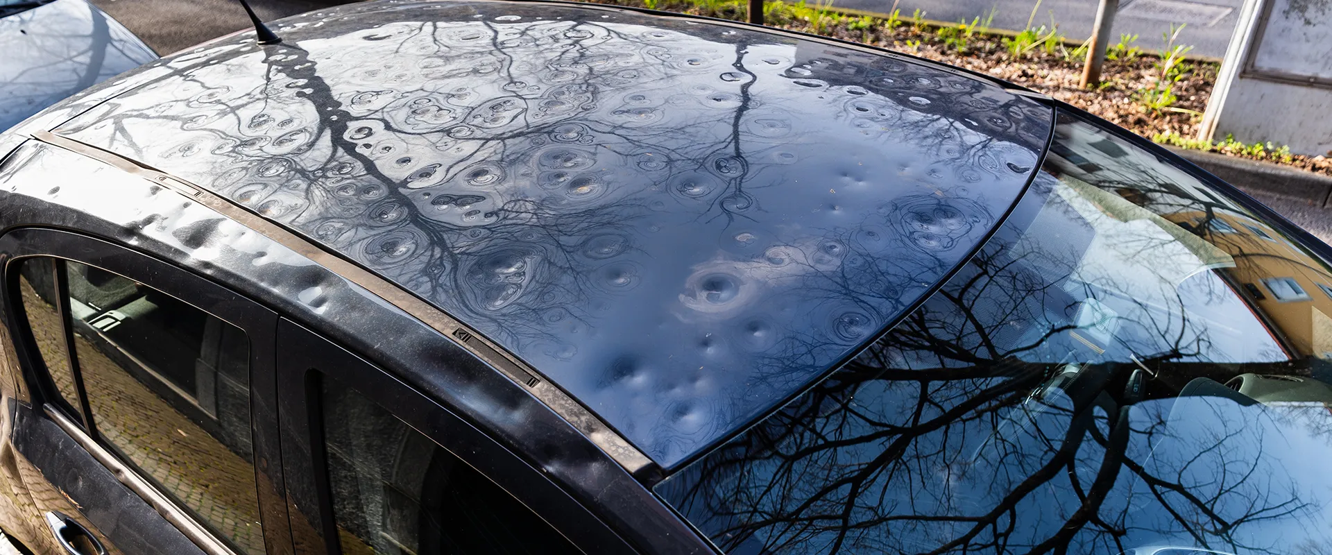 Hail Damage Repair near Warren, MI